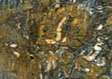 Layer 115